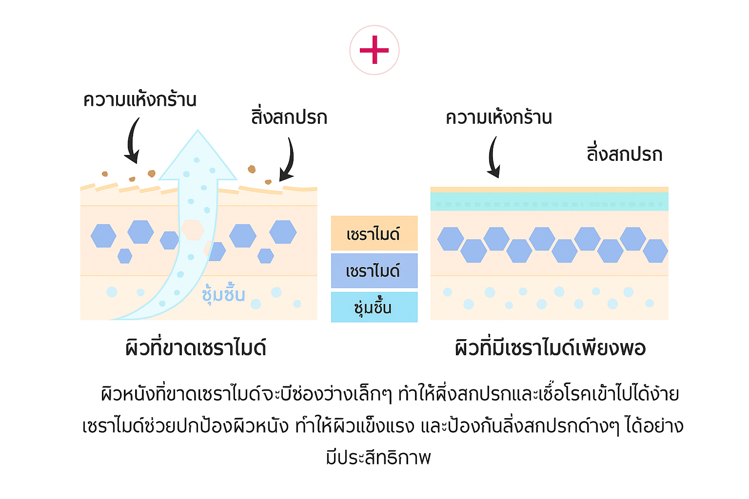 태국어 세라마이드 설명 이미지